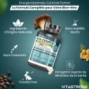 COMPLEXO GDA