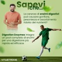 ENZIMAS DA DIGESTÃO