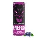 VITASTRONG ENERGY X1 FRUTAS VERMELHAS