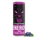 VITASTRONG ENERGY X1 FRUTAS VERMELHAS