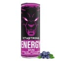 VITASTRONG ENERGY X1 FRUTAS VERMELHAS