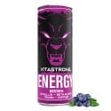 VITASTRONG ENERGY X1 FRUTAS VERMELHAS