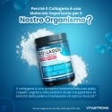 COLÁGENO HIDROLISADO