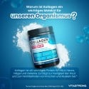 COLÁGENO HIDROLISADO