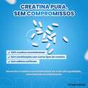 CREATINA CREASTRONG®